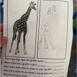 zoo-2