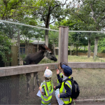 zoo-7