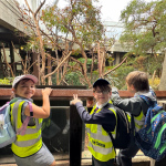 zoo-9