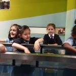 Y1-SCIENCE-MUSEUM-7