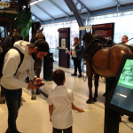 Transport-Museum-2