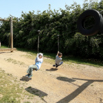 grove-10