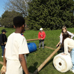 grove-21