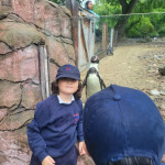 zoo13