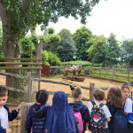 zoo2