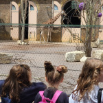 zoo8