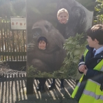 y2-zoo-1