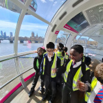 cruise-10