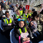 cruise-16