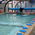 y4-swim-3