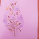 Y5-Art-Botanic