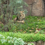 zoo12