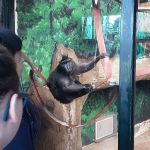 zoo5
