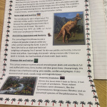 Year-6-dino-writing