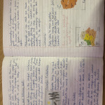 Year-6-report-writing