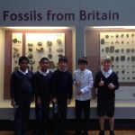 NHM-Y6-2022-12