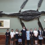NHM-Y6-2022-15