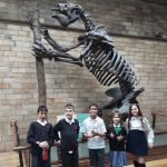 NHM-Y6-2022-17