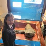NHM-Y6-2022-5
