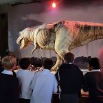 NHM-Y6-2022-6