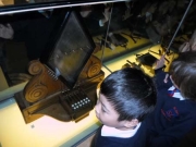 sam_0554