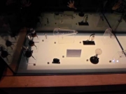 sam_0558