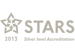 Stars - Silver